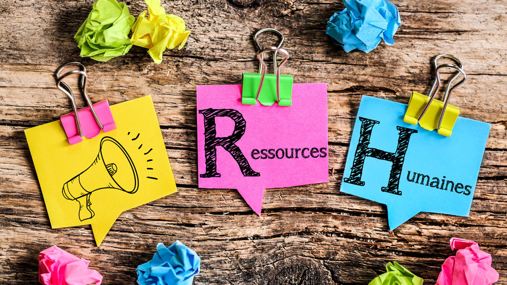 Conseil social Lille, Villeneuve-d'Ascq